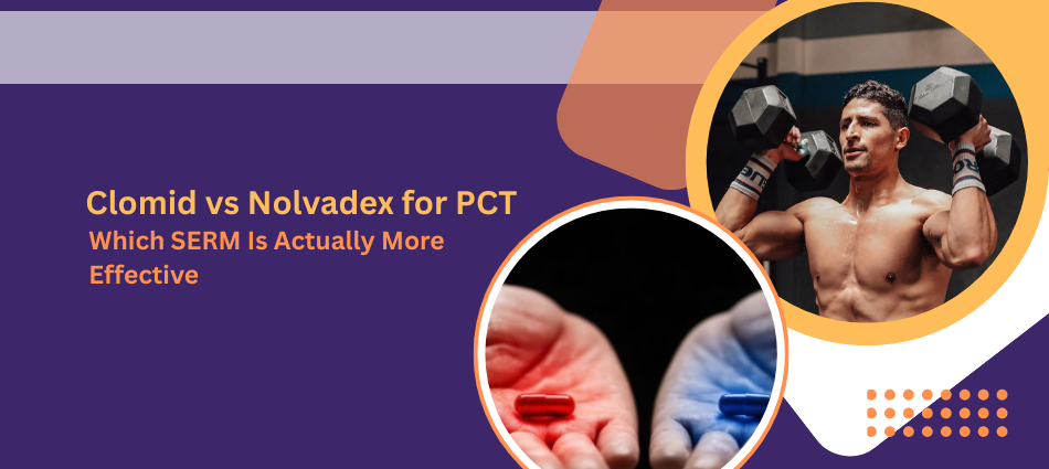 Clomid vs Nolvadex for PCT: Which SERM Is Actually More Effective?