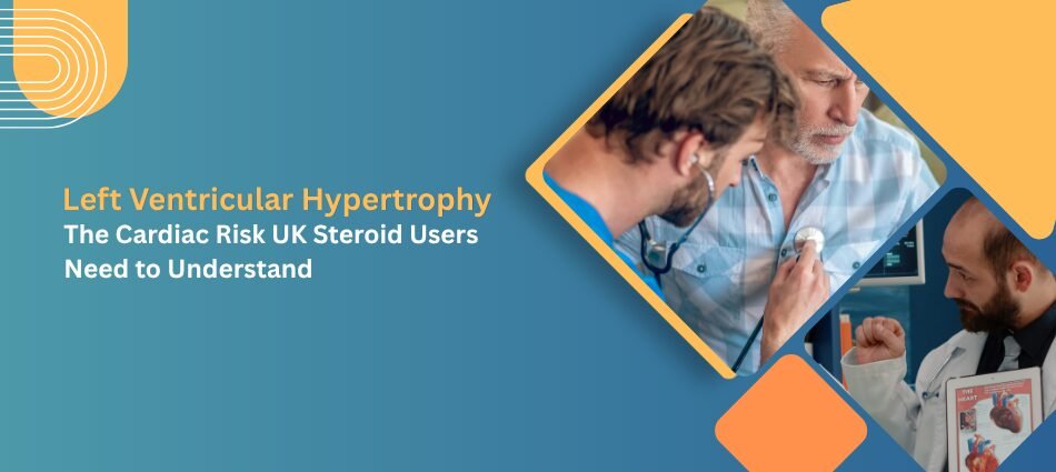 Left Ventricular Hypertrophy: The Cardiac Risk UK Steroid Users Need to Understand